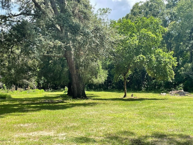 view of yard with a forest view