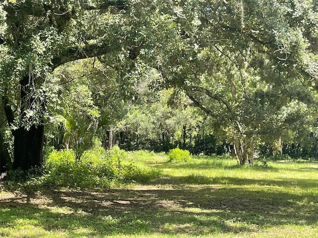 view of local wilderness with a forest view