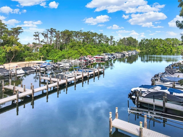 view of dock featuring a water view