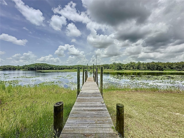 view of dock with a water view