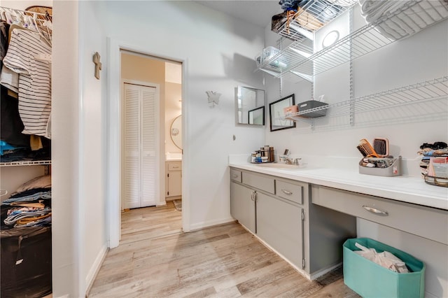 interior space featuring vanity and wood-type flooring