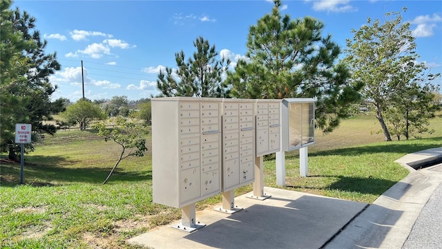 view of property's community featuring a mail area and a yard