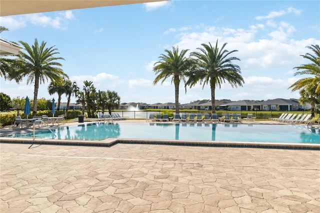 view of pool featuring a patio