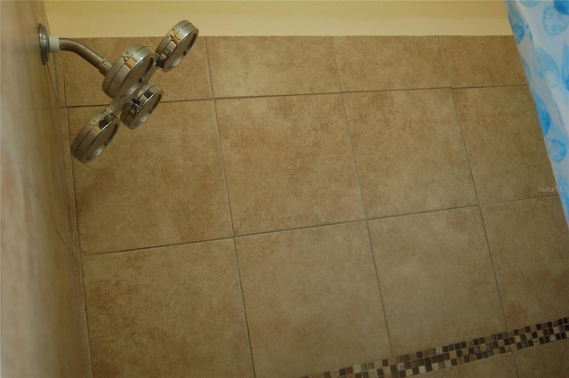 interior details with a shower with curtain