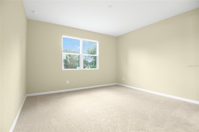 spare room featuring carpet