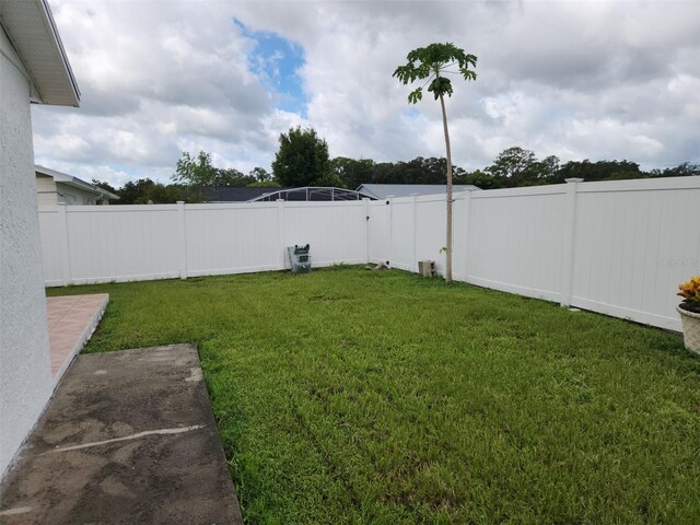 2518 Bowmer Dr, Kissimmee, FL 34744 - view of yard