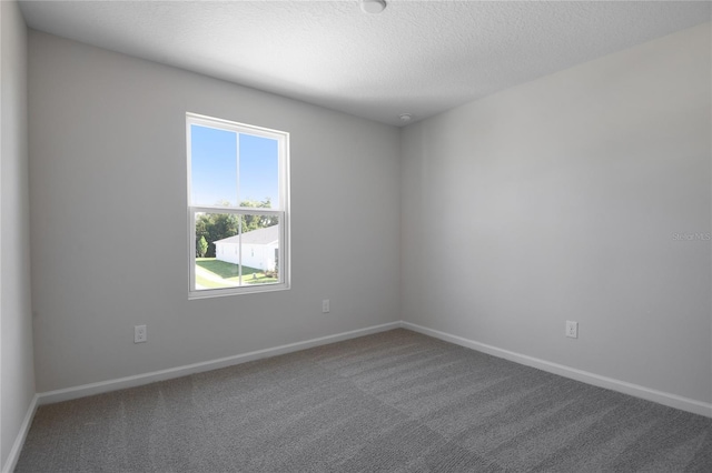 spare room with carpet flooring and a textured ceiling