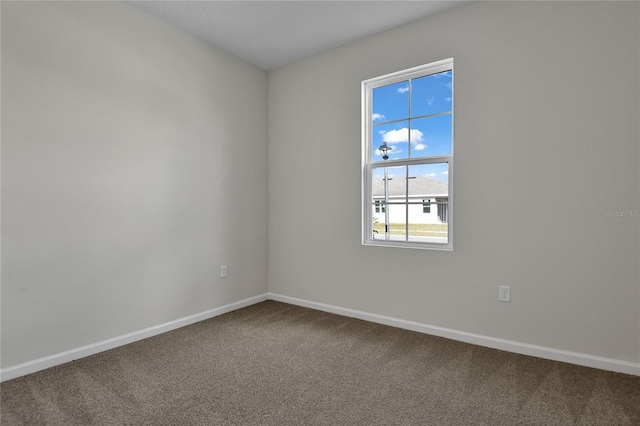 spare room featuring carpet flooring