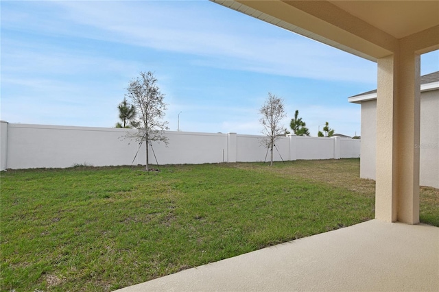 view of yard featuring a patio area