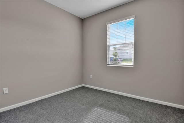 spare room featuring carpet flooring