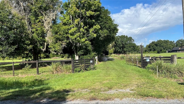 view of yard