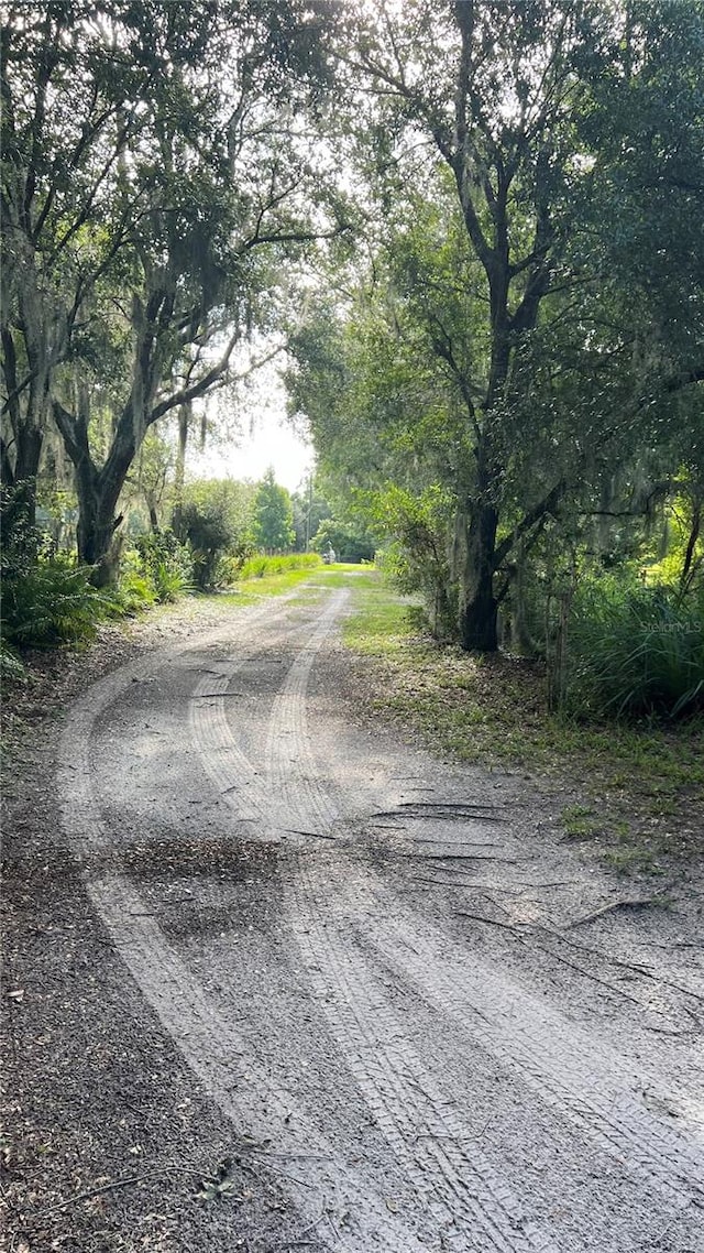 view of road