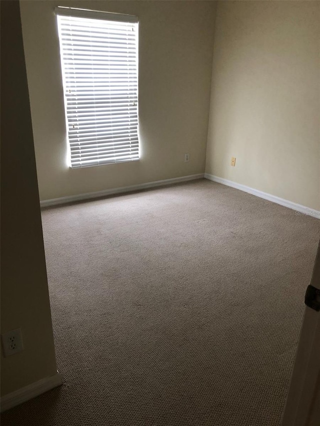 unfurnished room featuring carpet flooring