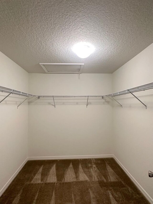 spacious closet with carpet floors