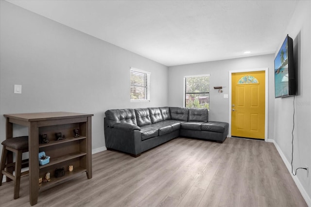 living room with hardwood / wood-style flooring