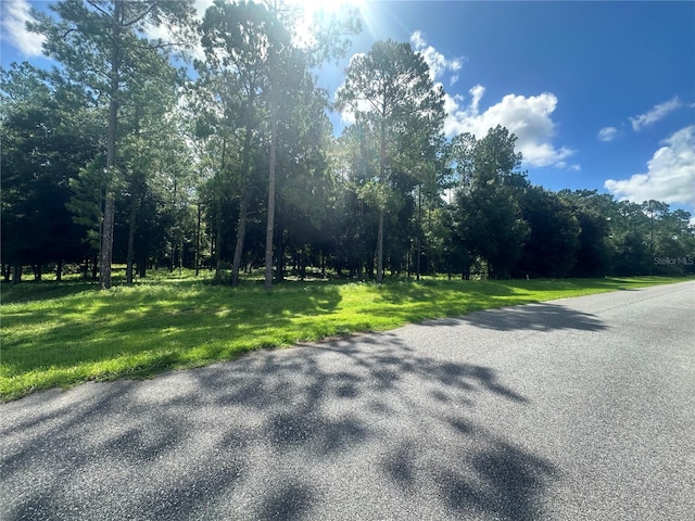 Listing photo 2 for 24250 Deep Springs Loop, Eustis FL 32736