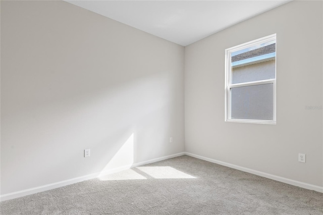 unfurnished room with carpet flooring