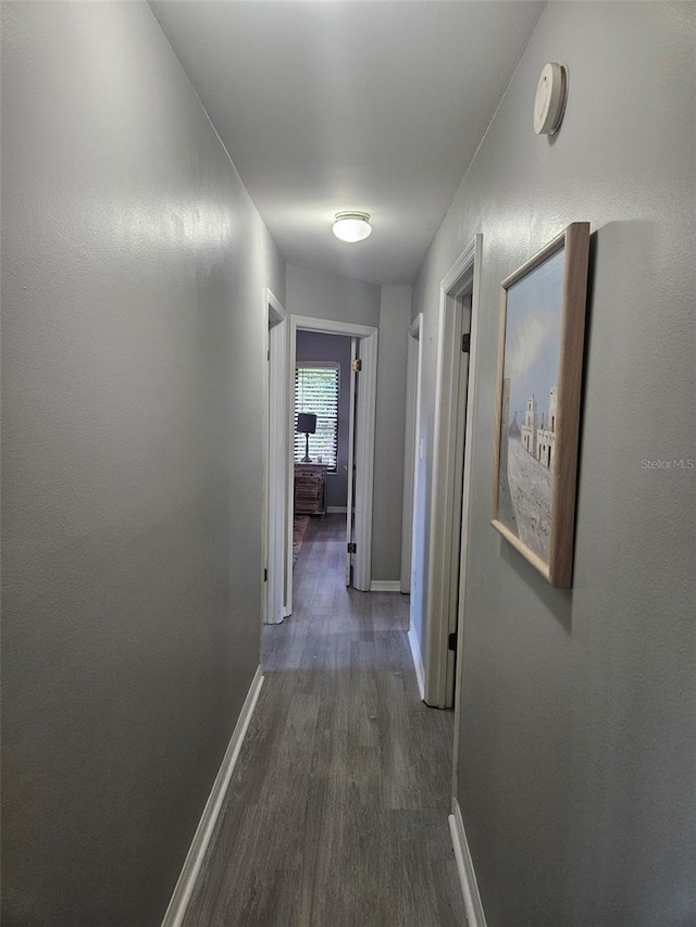 hallway with dark hardwood / wood-style flooring