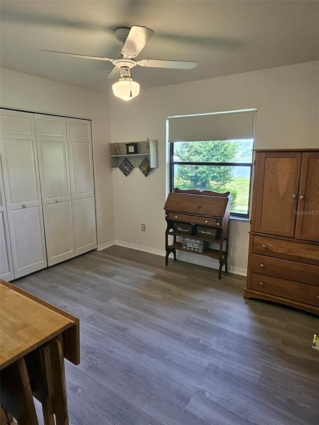 interior space with ceiling fan, a closet, and dark hardwood / wood-style flooring