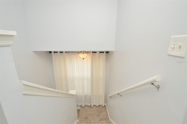 stairway with carpet floors and baseboards