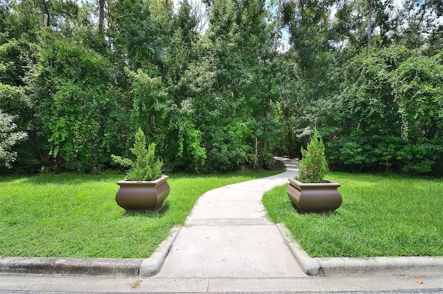 view of property's community featuring a yard