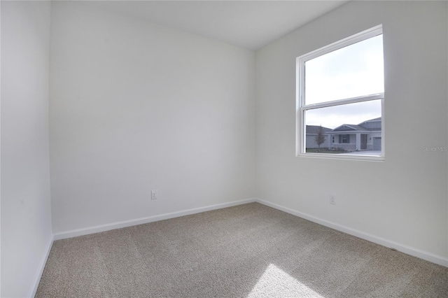 spare room featuring carpet