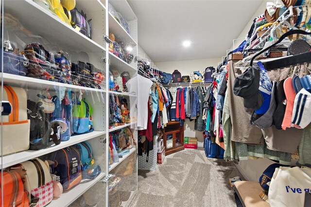 spacious closet with carpet