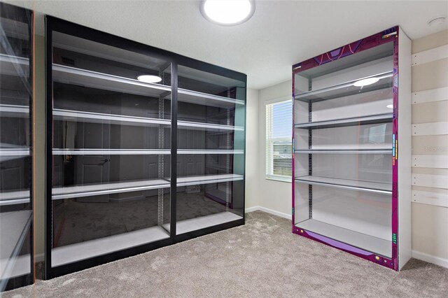 walk in closet featuring carpet floors