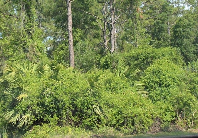 11th Ave, Deland, FL 32724