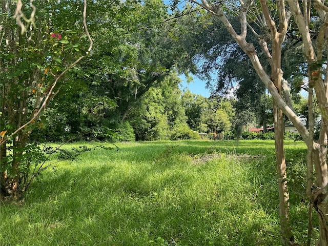 29th St, Orlando FL, 32805 land for sale