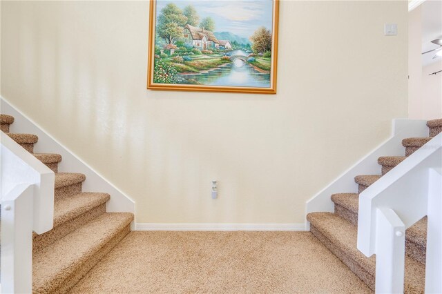 stairs with carpet floors