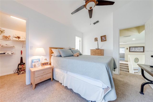 bedroom featuring ceiling fan, a walk in closet, a closet, and carpet