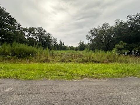 207 Starling Ct, Poinciana, FL 34759 - photo 3