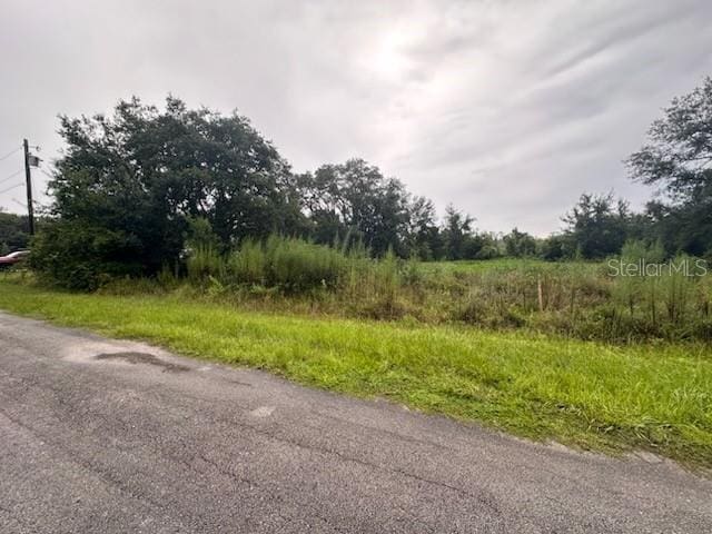 207 Starling Ct, Poinciana, FL 34759 - photo 4