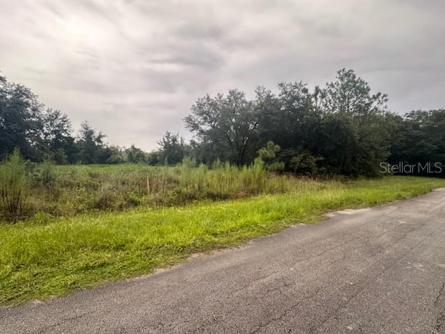 207 Starling Ct, Poinciana, FL 34759 - photo 5