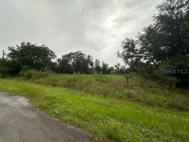 207 Starling Ct, Poinciana, FL 34759 - photo 6