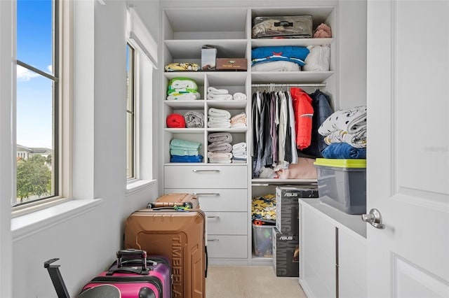 view of closet