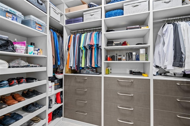 view of spacious closet