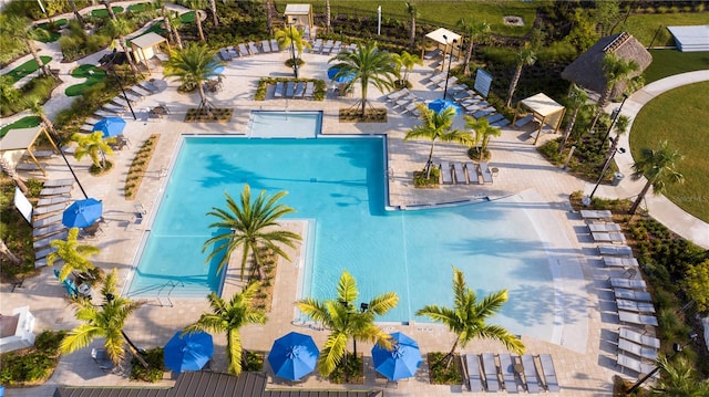 view of swimming pool with a patio