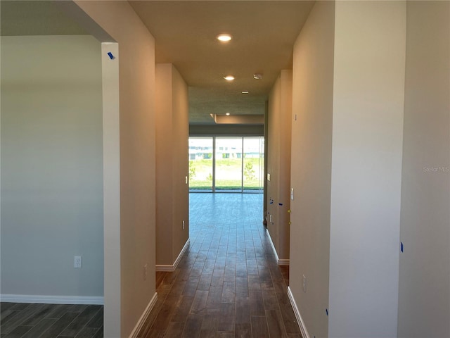 corridor featuring dark wood-type flooring