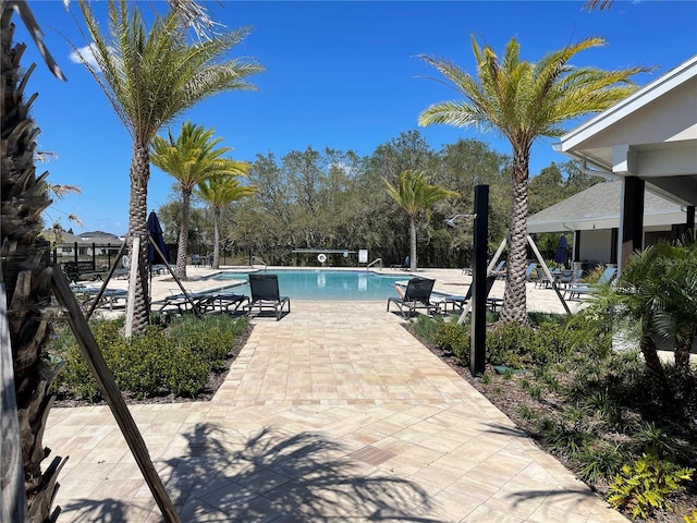 view of pool with a patio