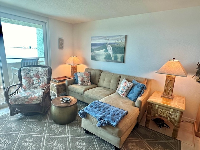 living room featuring a textured ceiling