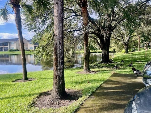 view of community with a water view and a yard