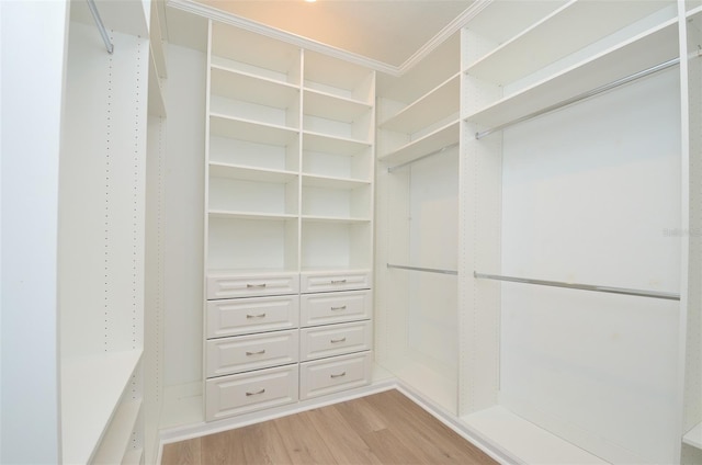 spacious closet featuring light wood-type flooring