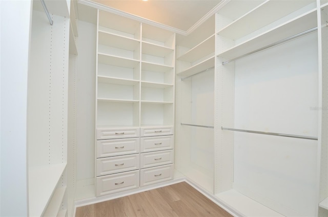 walk in closet featuring light hardwood / wood-style floors