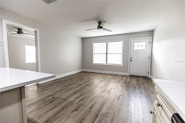 interior space featuring a wealth of natural light, ceiling fan, and dark hardwood / wood-style floors