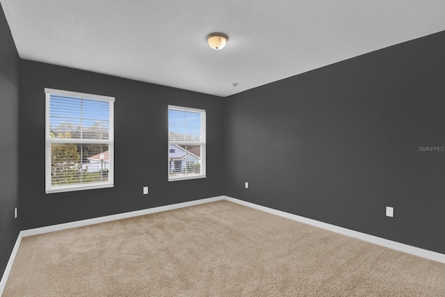 carpeted spare room with a wealth of natural light and a textured ceiling