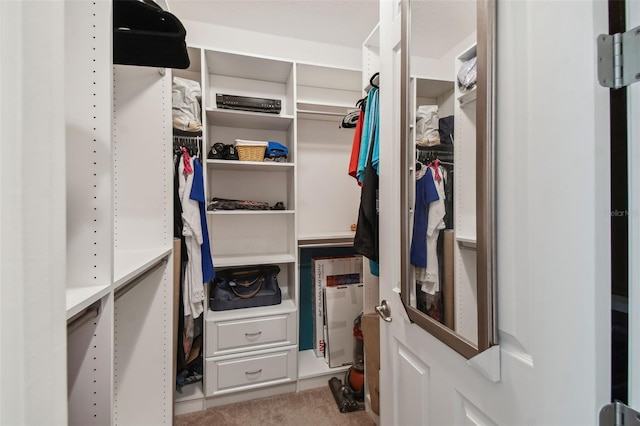 view of spacious closet