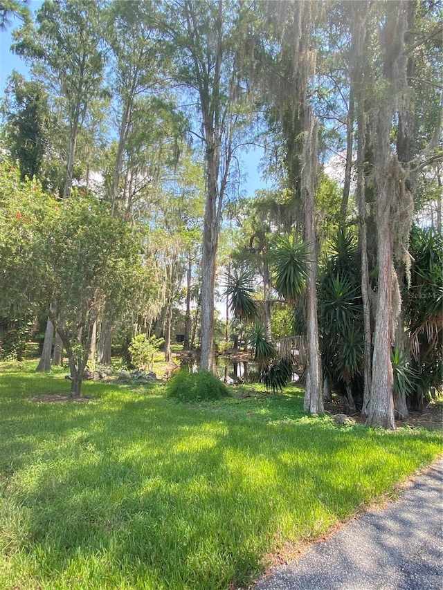 5341 Indian Creek Dr Unit B, Orlando, FL 32811 - view of yard