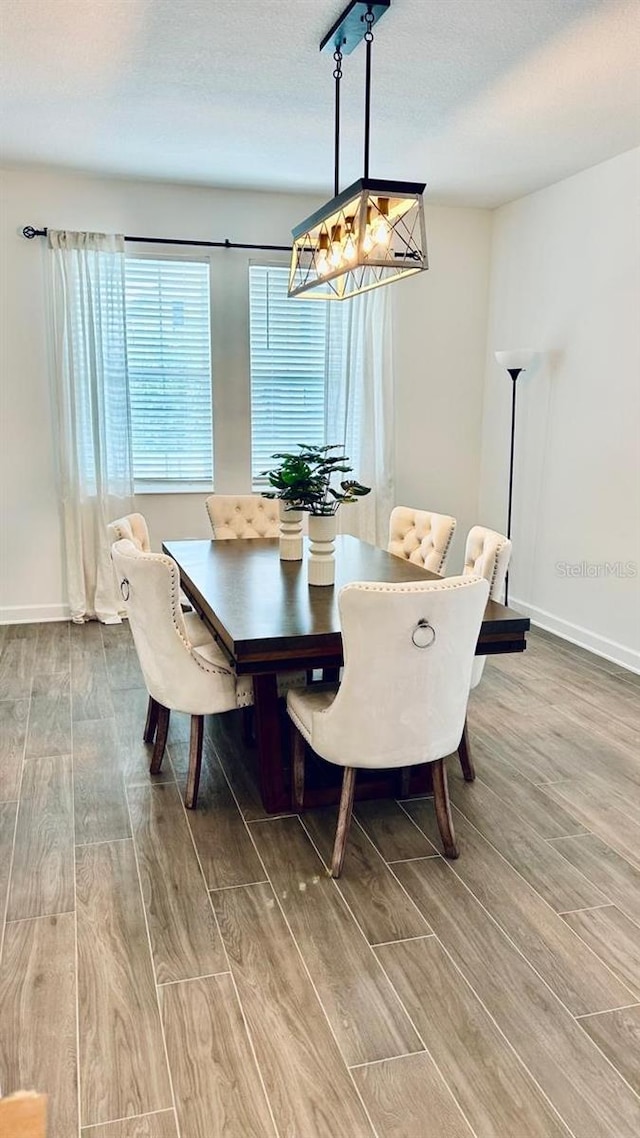 dining room with wood-type flooring